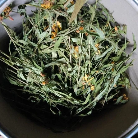 Целебные травы и настойки