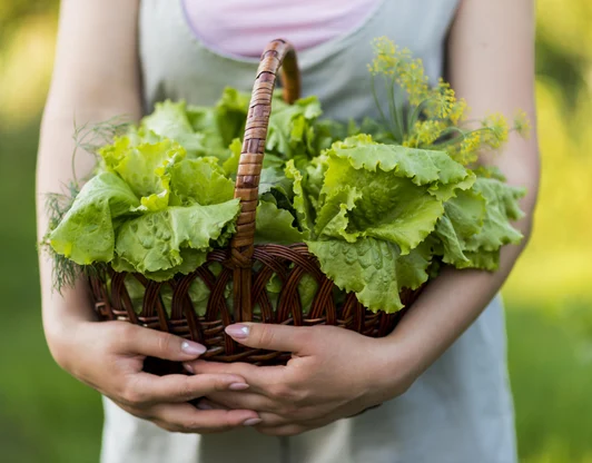 Выращивание